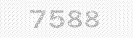 Visual security code — type the characters shown in the image